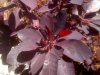 20170430_134412.jpg