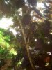 20170430_134529.jpg