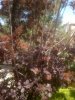 20170430_134606.jpg