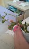 20170502_142507.jpg