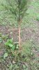 2017-05-07 at 12.15.18.jpeg