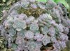 DSCN7755.JPG DSCN7755.JPG