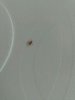 img20170510_183349.jpg
