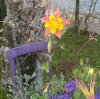 IMG_20170512_170157.jpg