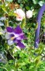 IMG_20170512_170052.jpg