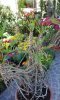 20170513_101955.jpg