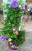 IMG_20170512_191314.jpg