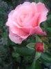 IMG_20170512_190433.jpg