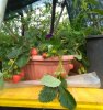 IMG_20170511_082006.jpg
