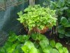 IMG_20170513_135029.jpg