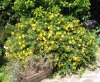 IMG_20170526_105529.jpg