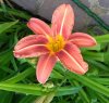IMG_20170526_105552.jpg