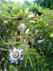 IMG_20170526_105637.jpg