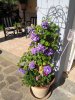IMG_20170526_163139.jpg