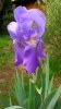 DSC_0057.JPG