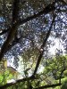 IMG_20170528_130810_1CS.jpg
