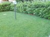 IMG_20170529_191127.jpg