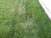 20170531_193354_resized.jpg