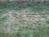 20170531_193400_resized.jpg