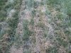 20170531_193337_resized.jpg