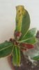 20170607_114321.jpg