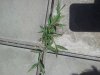 20170607_130439.jpg