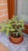 20170609_181536.jpg