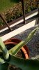 WP_20170610_005.jpg