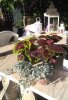 IMG_20170608_073222.jpg