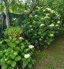 IMG_20170602_082020.jpg