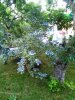 IMG_20170611_203321.jpg