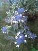 IMG_20170611_203327.jpg