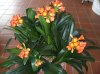 100_4185.jpg