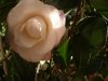 DSC02308.jpg