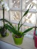 DSC01355.jpg