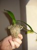 DSC01363.jpg