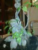20120115_002.jpg