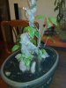 20120319_001.jpg