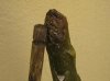 p1010005.jpg