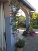 IMG_20170611_070834.jpg