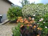 IMG_20170606_152533.jpg