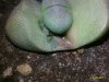P_20170615_174846_1_p.jpg