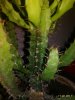P_20170617_144104_1_p.jpg