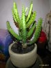 P_20170617_213731_p.jpg