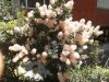 2017-06-20 12.45.24.jpg