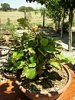20170623_120637.jpg