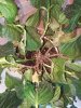 20170628_120421.jpg