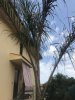 IMG_7542-02-07-17-01-06.JPG