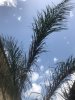 IMG_7544-02-07-17-01-06.JPG