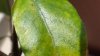 DSC05940.JPG
